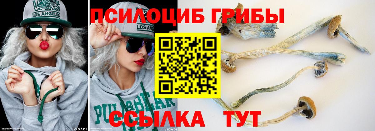 Ангарск  Галлюциногенные грибы мухоморы  Вход с VPN 