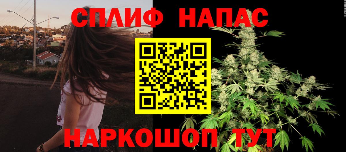 Бошки Шишки планчик Ангарск